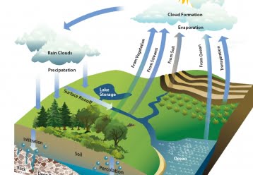 hydrologic-cycle.jpg